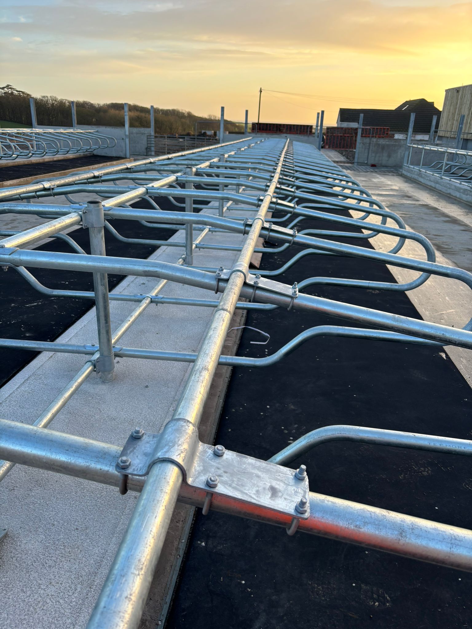 Galvanised livestock cubicles and equipment in a cattle building