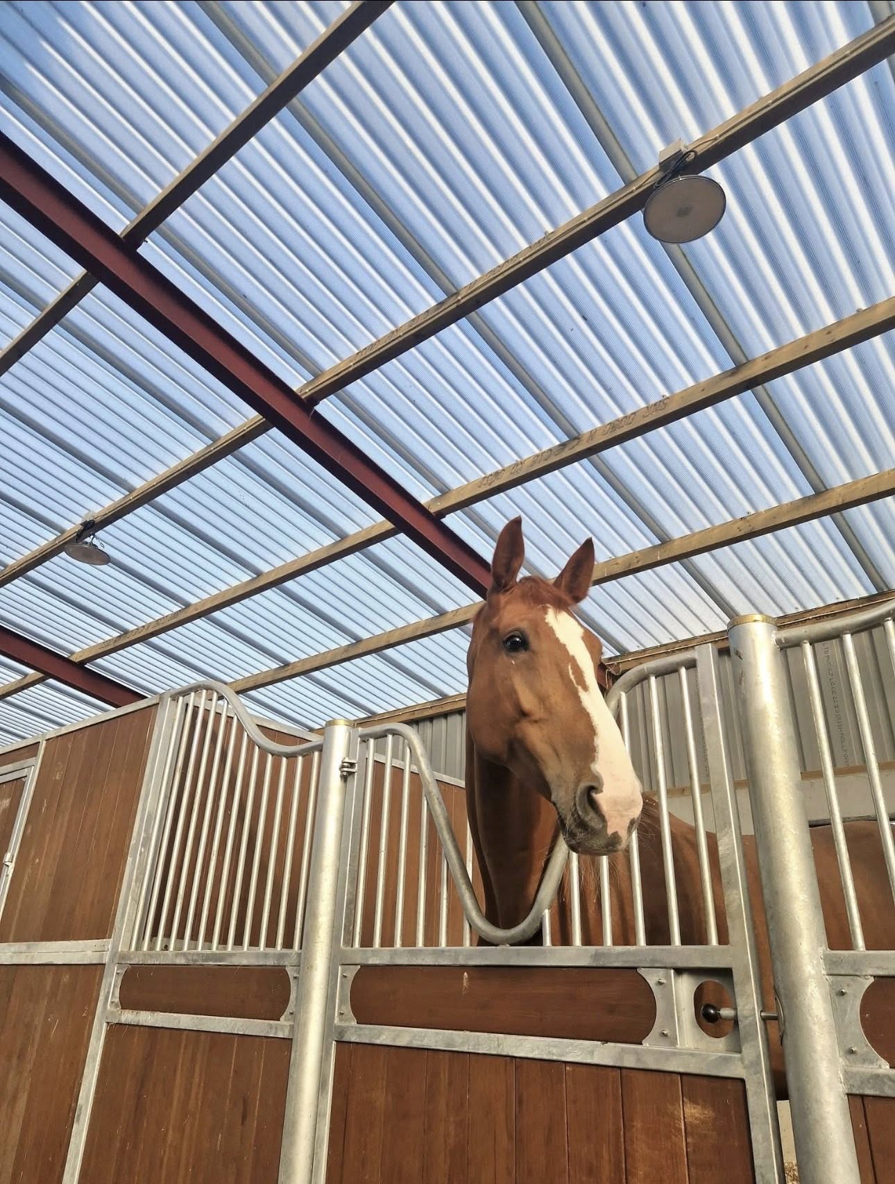 Greenhill Systems sheeting on an agricultural building
